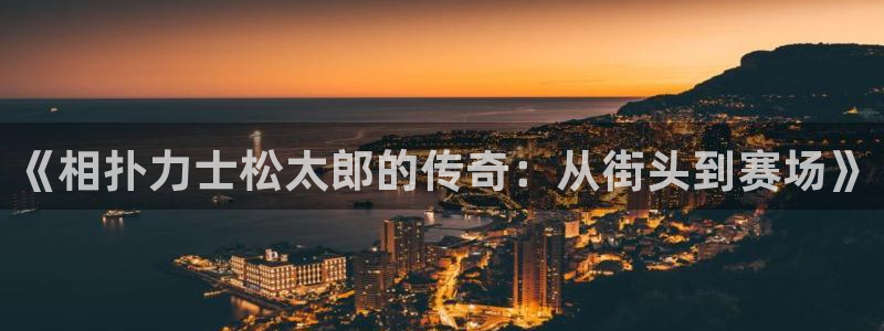 高等灵魂下拉式奇漫屋：《相扑力士松太郎的传奇：从街头到赛场》