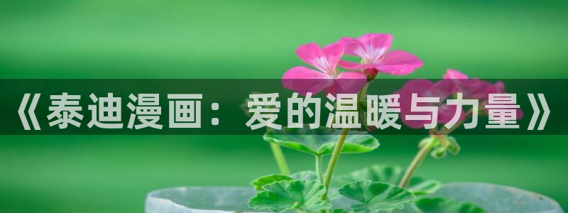 宦妃天下漫画免费观看奇漫屋：《泰迪漫画：爱的温暖与力量》